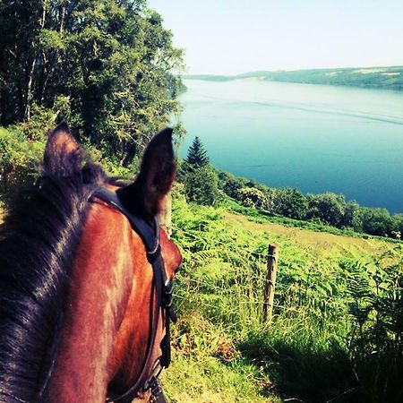 Loch Ness B And B Inverness Eksteriør billede