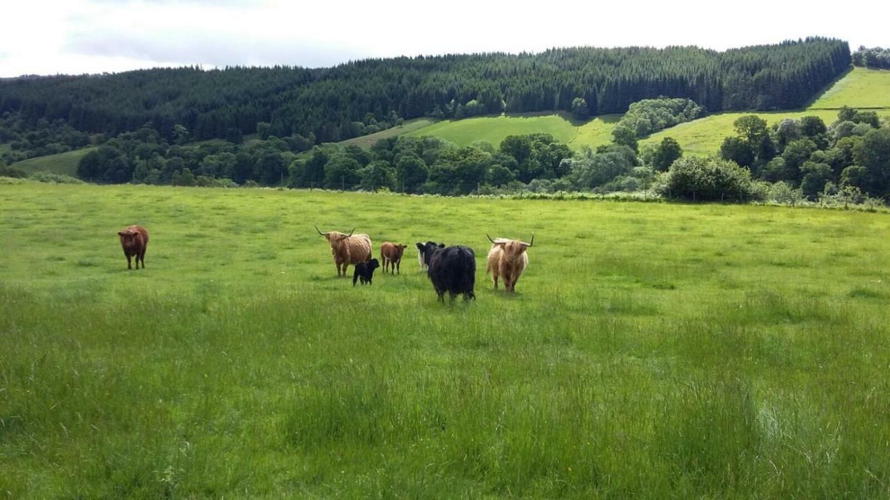 Loch Ness B And B Inverness Eksteriør billede